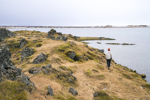 Discover Your Soul's Desires Aligned with Your Higher Self Discover your soul's desires - A person in a jacket walks along a rocky coast with sparse vegetation and a calm sea in winter.