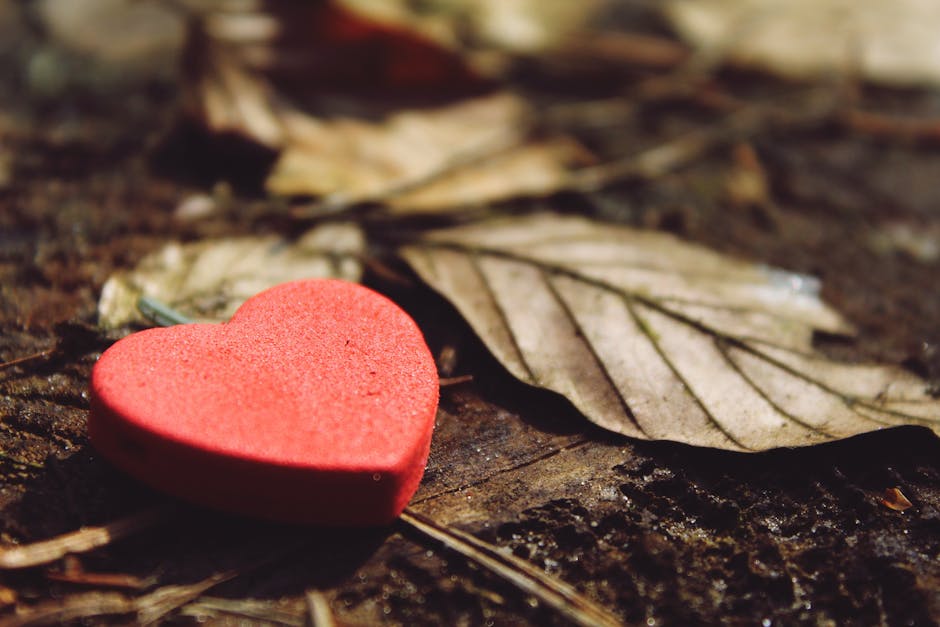 Manifestation for Love - Close-up of a red heart keychain on earthy ground surrounded by dry leaves.