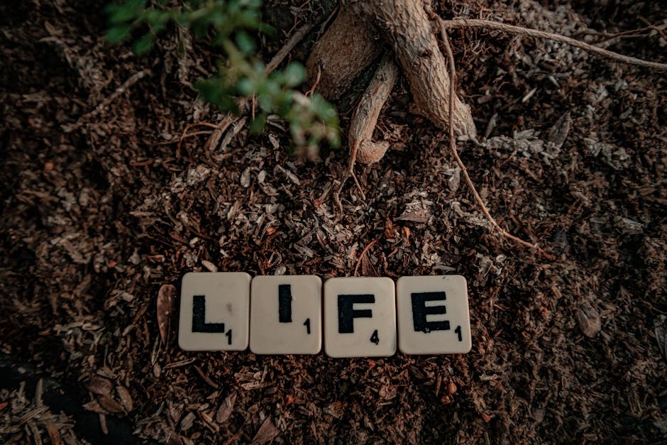 Scrabble tiles spelling 'life' placed on soil with tree roots visible, symbolizing growth and nature.